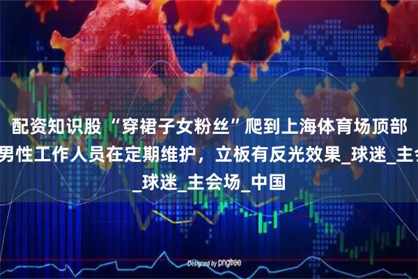 配资知识股 “穿裙子女粉丝”爬到上海体育场顶部？回应：男性工作人员在定期维护，立板有反光效果_球迷_主会场_中国