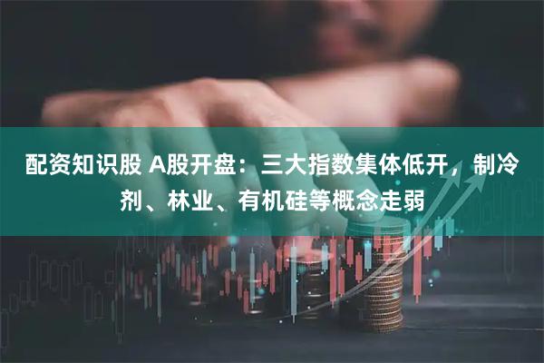 配资知识股 A股开盘：三大指数集体低开，制冷剂、林业、有机硅等概念走弱